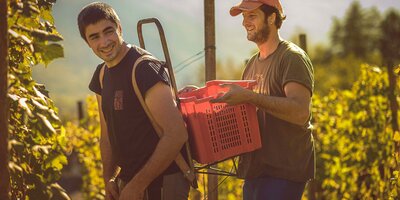 Degustazione di Vini Valtellinesi